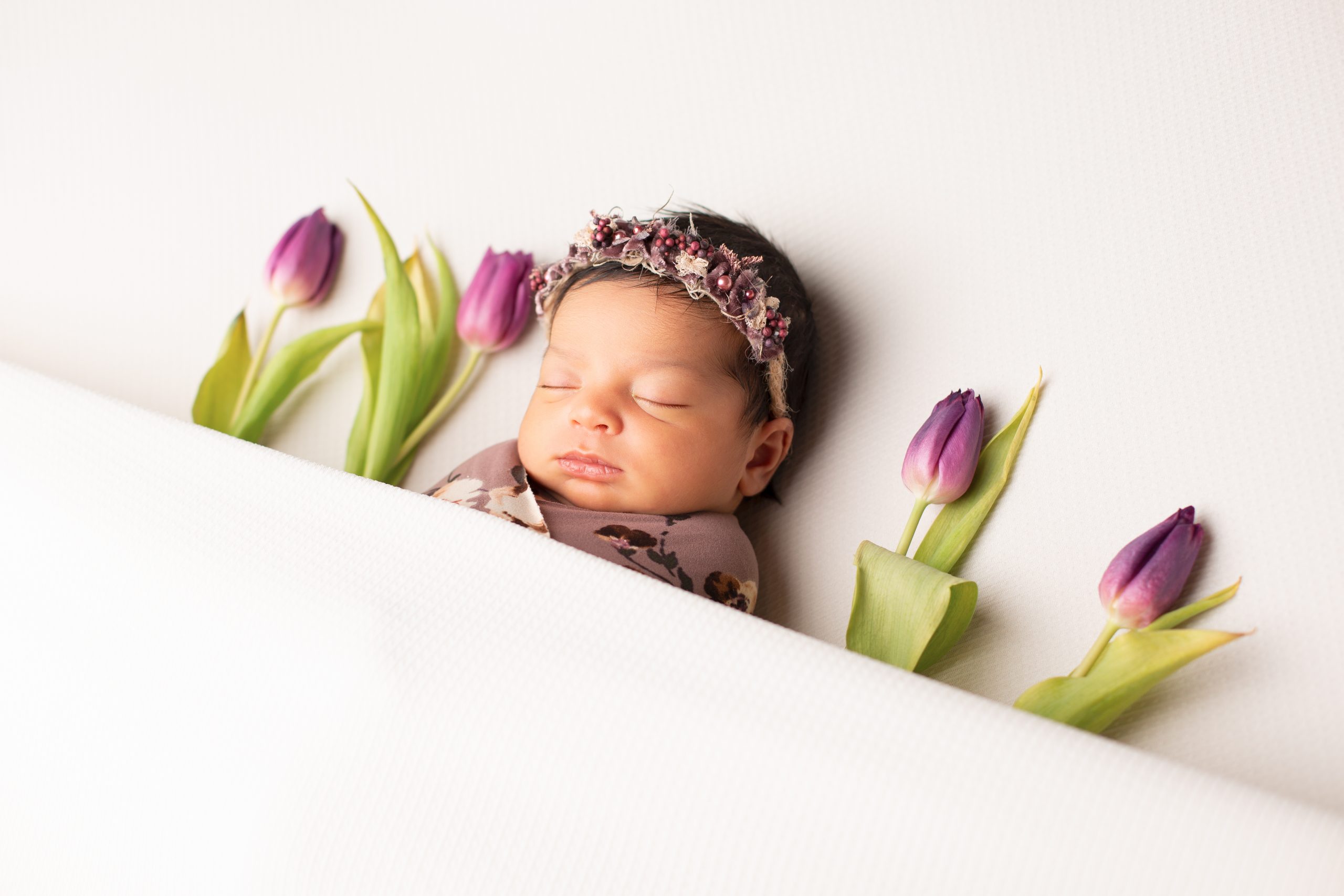 photographe naissance vosges lorraine